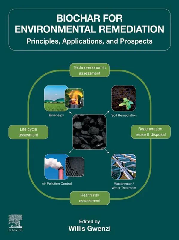 Biochar for Environmental Remediation: Principles, Applications, and Prospects