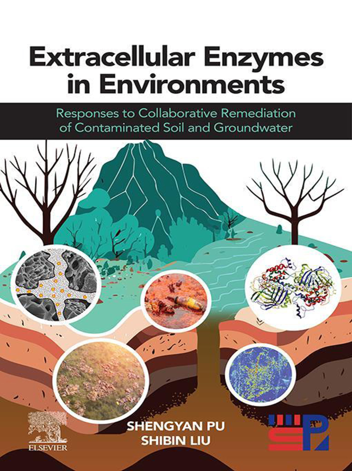 Extracellular Enzymes in Environments: Responses to Collaborative Remediation of Contaminated Soil and Groundwater