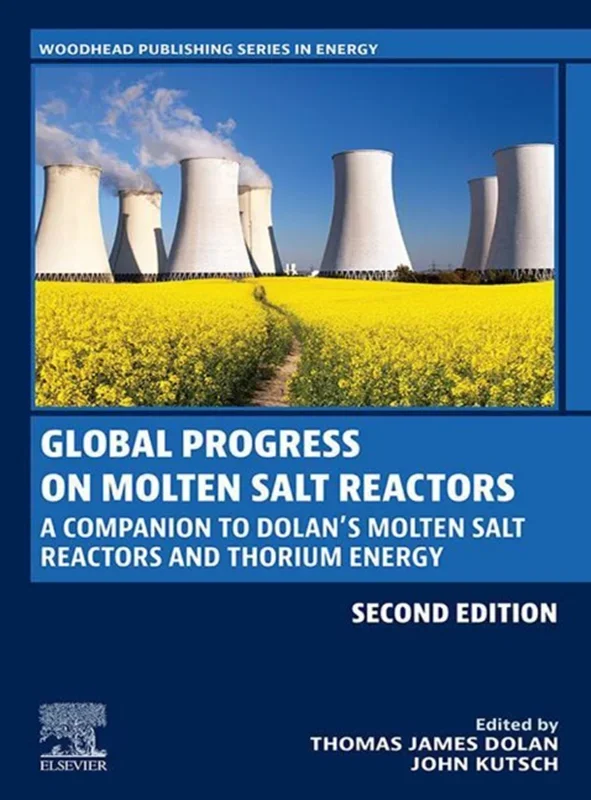 Global Progress on Molten Salt Reactors: A Companion to Dolan’s Molten Salt Reactors and Thorium Energy 2nd Edition