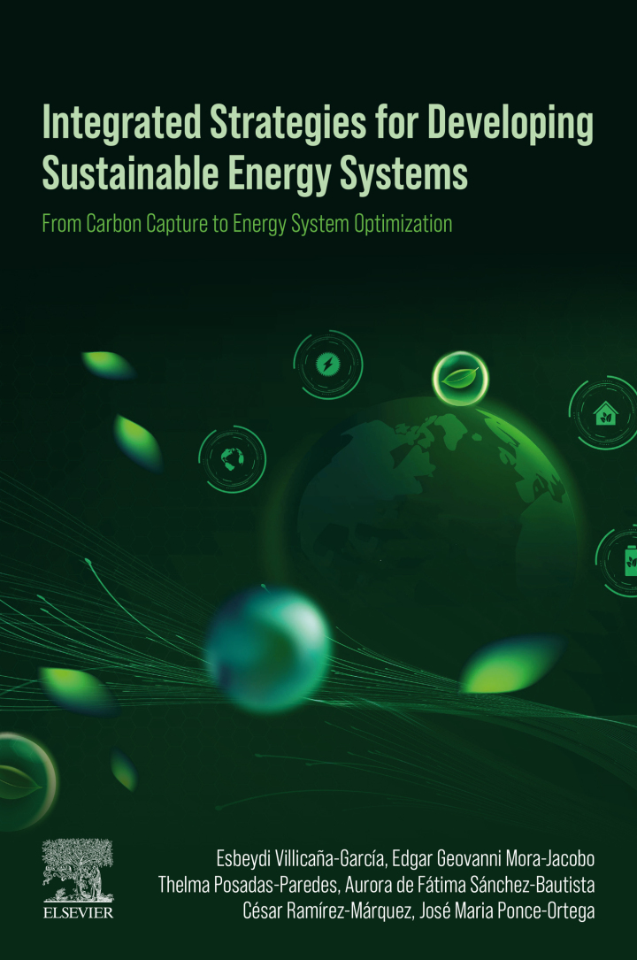 Integrated Strategies for Developing Sustainable Energy Systems: From Carbon Capture to Energy System Optimization